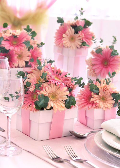 Pink daisies
